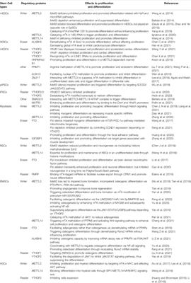 N6-Methyladenosine RNA Modification: A Potential Regulator of Stem Cell Proliferation and Differentiation